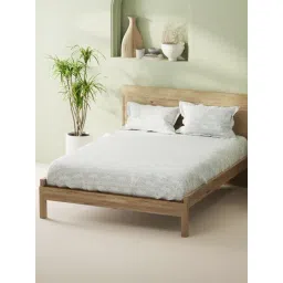 Bianca Sage Cotton Floral 144 TC King Bedsheet with 2 Pillow Covers-picture-47