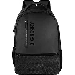 bigberry Newage classic genuine PU Backpack with Multiple Compartments & organiser 28 L Laptop Backpack (Black)-picture-16