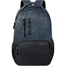 bigberry Newage Rodeo 28 Ltrs Geniune PU Backpack with Multiple Compartments & organiser Bag for Travel,College,School,Casual Daypacks for Man,Women (BLUE).-picture-29