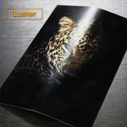 bigfalcon Premium 260 GSM 4R Size (4X6 inch) 50 Sheet Matt (Luster) RC Resin Coated Waterproof Inkjet Photo Paper for all Inkjet Printer 4R (102x152mm) 260 gsm Photo Paper image 4