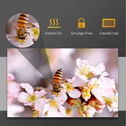 bigfalcon Premium 260 GSM 4R Size (4X6 inch) 50 Sheet Matt (Luster) RC Resin Coated Waterproof Inkjet Photo Paper for all Inkjet Printer 4R (102x152mm) 260 gsm Photo Paper image 5