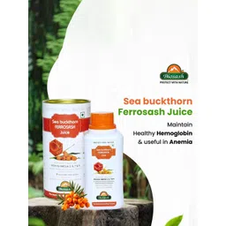 BIOSASH Sea Buckthorn Ferrosash Juice - 250 ml-picture-27