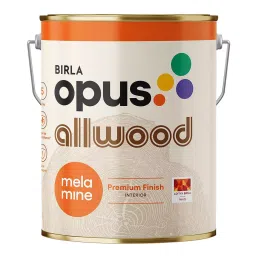 Birla Opus Allwood Melamine Sealer Clear 20 L for Interior Wooden Surface, 951800-picture-37