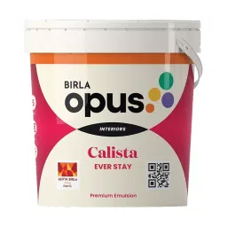 Birla Opus Calista Ever Stay 20 L White Emulsion Paint for Interior Walls, 942001 (Bucket of 20 L)-picture-30