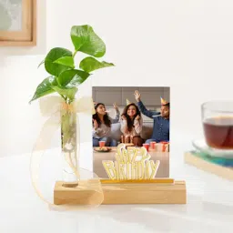 Birthday Joy Personalized Photo Stand With Money Plant-picture-33