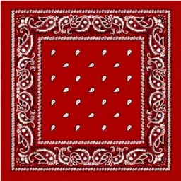 Bismaadh Cotton Novelty Double Sided Print Paisley Cowboy Party Favor ["MEHRON"] Handkerchief-picture-27