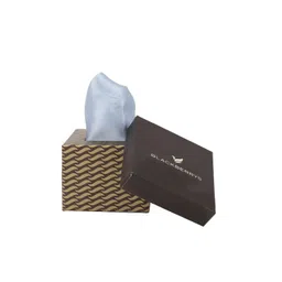 Blackberrys Men Blue Colourblocked Pure Silk Pocket Square-picture-10