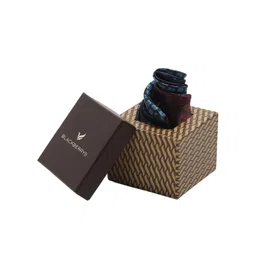 Blackberrys Men Printed Pure Silk Pocket Squares-picture-19