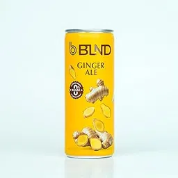 BLND Ginger Ale, 250ml (Pack of 8) | Party Mixer-picture-31