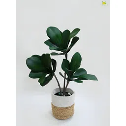 Blooming Floret Green Anthurium Artificial Plant With Pot-picture-33