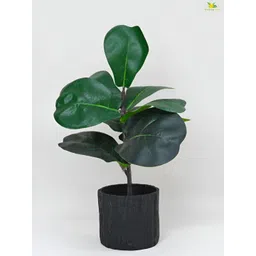 Blooming Floret Green Fiddle Floret Artificial Plant With Pot-image-20