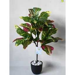 Blooming Floret Green Garden Croton Artificial Plant With Pot-picture-18
