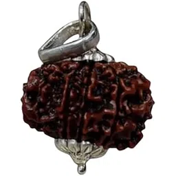 BluDiamond 10 Mukhi Rudraksha Nepal Dus Mukhii Rudraksh 10 मुखी रुद्राक्ष Original Certified By Lab Natural Ten Mukhe 10 Face Rudraks Brown Baeds Blessing Krishna For Men Women दस मुखी रुद्राक्ष-picture-42