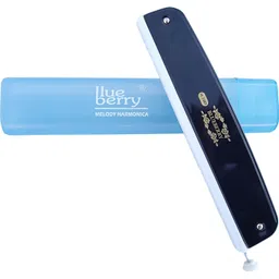 blueberry H-2403 24 Holes Key C Mouth Organ | 48 Tone | Scale Changer With Case For Professional, Beginners Student Harmonica-picture-21