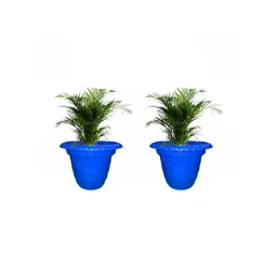 BLUEVISTA 2 Pcs Blue Durable Twister Pot-picture-28