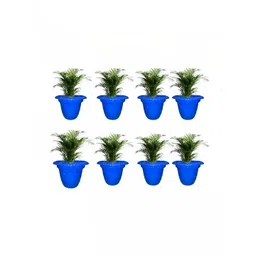BLUEVISTA Twister 2Pcs Blue Durable Gradening Flower Planters-picture-34