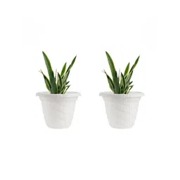 BLUEVISTA Twister 2Pcs White Durable Gradening Flower Planters-picture-26