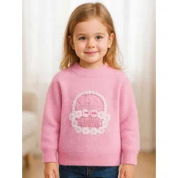 Bold N Elegant Girls Embroidered Pullover with Embroidered Detail image 1