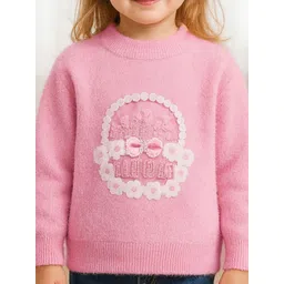 Bold N Elegant Girls Embroidered Pullover with Embroidered Detail image 3