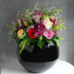 Boldly Royal Petalsome Dream-picture-37