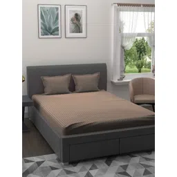 Bombay Spreads Beige Striped Cotton 180 TC King Bedsheet Set 2.7 m x 2.25 m-picture-23