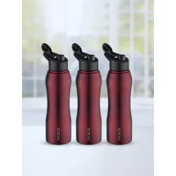 ?Borosil Water Bottle with Single Wall & Leakproof Set of 3 (Maroon, ?1000 ml)-image-40