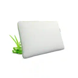 Boutique Living Aloe Vera Pillow-picture-47