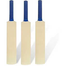 Bowler Miniature Autograph Showpiece Cricket Bat 12 Inch Pack of 3 (They Can't be Used for Paying Cricket)-picture-16