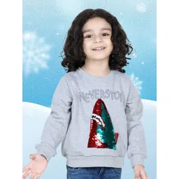 BownBee Boys Printed Long Sleeves Round Neck Regular Sweatshirt-picture-28