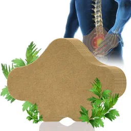 boxania 12pcs/Box Lumbar Lower Back Pain Relief Plaster Wormwood Patch Self Heating - 12 Slots image 5
