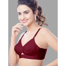 BRIDA LADIES INNERWEAR Bra Full Coverage image 2