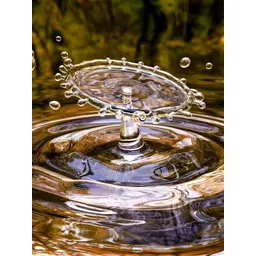 British Terminal Green & Transparent Printed High Quality Fully Waterproof Wall Poster-picture-20