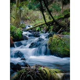 British Terminal Green & White Abstract Painting Wall Art-image-30