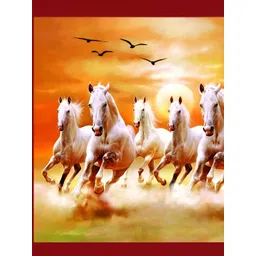 British Terminal Orange & White Birds and Animals Photographs Wall Art-picture-17