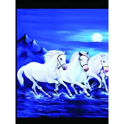 British Terminal White & Blue Birds and Animals Wall Photograph-picture-13