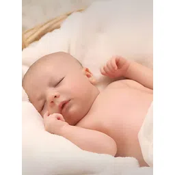 British Terminal White & Brown Cute Baby Paper Painting Wall-picture-34