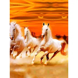 British Terminal White & Orange Birds and Animals Wall Photograph-picture-30