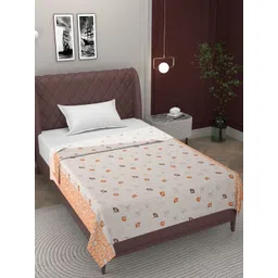 Bromwick Orange & White Floral 300 TC 2 Single Bedsheet with Pillow Covers-picture-19