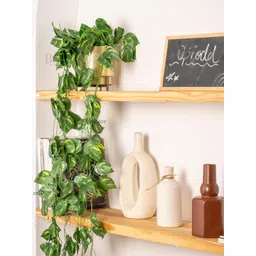 BS AMOR Green Pack Of 8 Creeper Bail Money Plant Decorative Artificial Flower-picture-24