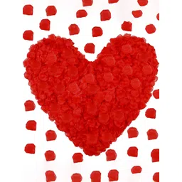 BS AMOR Red Rose Petals 500 Pieces Artificial Flowers-picture-29