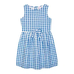Budding Bees Kids Blue & White Checks Dress-picture-29