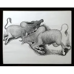 Bull Fighting (Pen And Pencil Painting By Naga Reddy)-picture-44