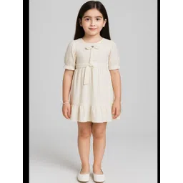 BURBN Puff Sleeve A-Line Dress-picture-32