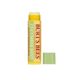 Burt's Bees Cucumber Mint Lipbalm- 4.25g-picture-15