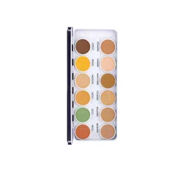 C2P PROFESSIONAL MAKEUP Supraemeshield 12 In 1 All In One Makeup Palette 42g - Shade N12-image-14