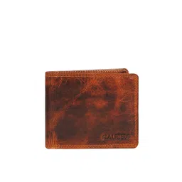 CALFNERO Men Maroon & Tan Leather Two Fold Wallet-picture-10
