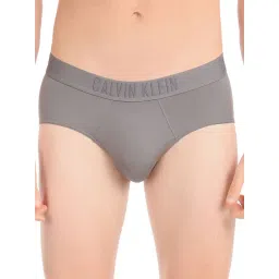 Calvin Klein Grey Sky Regular Fit Logo Printed Briefs-picture-13