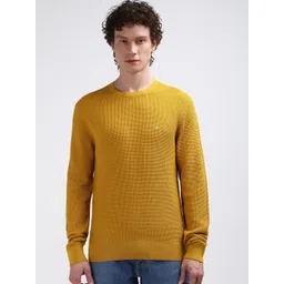 Calvin Klein Jeans Self Design Round Neck Long Sleeves Pure Cotton Pullover Sweater-picture-20