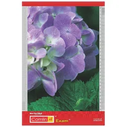 camlin Exam Clip Board-picture-18