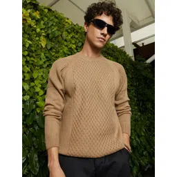 Campus Sutra Men Camel Hive-Knit Pullover Sweater-picture-11